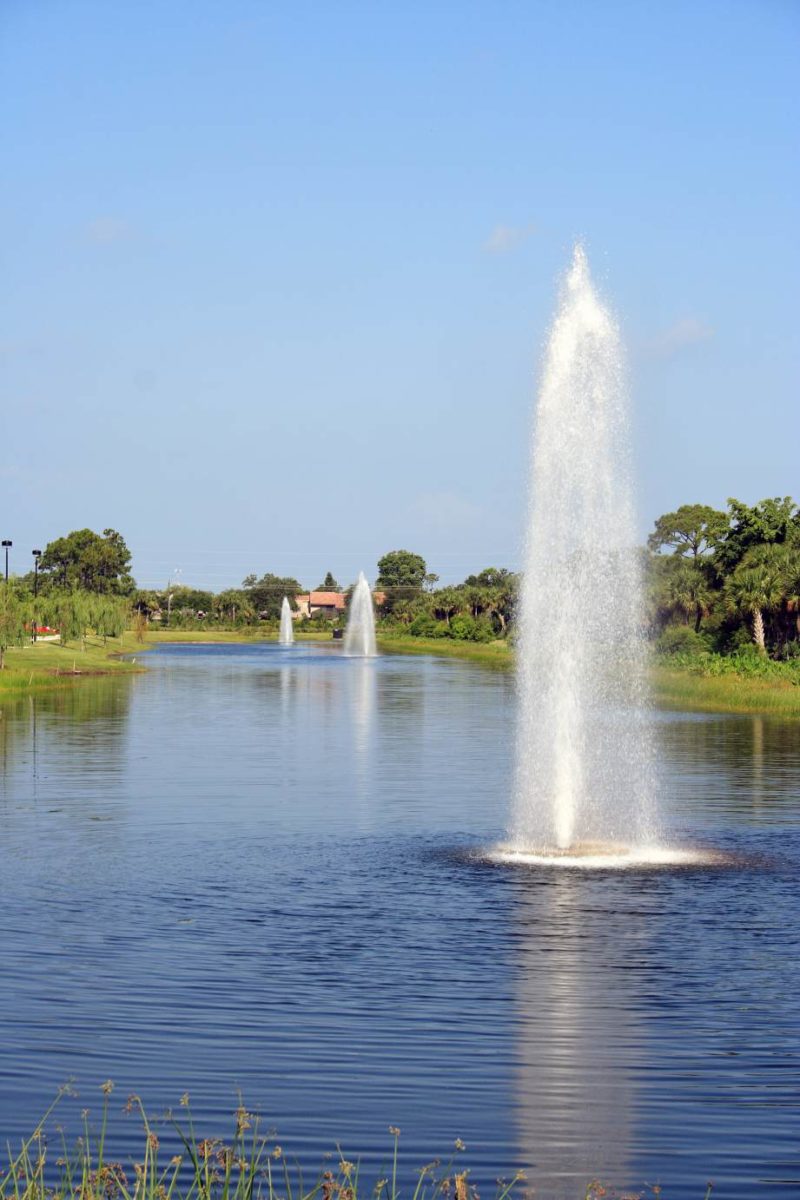 Savannah Floating Fountains